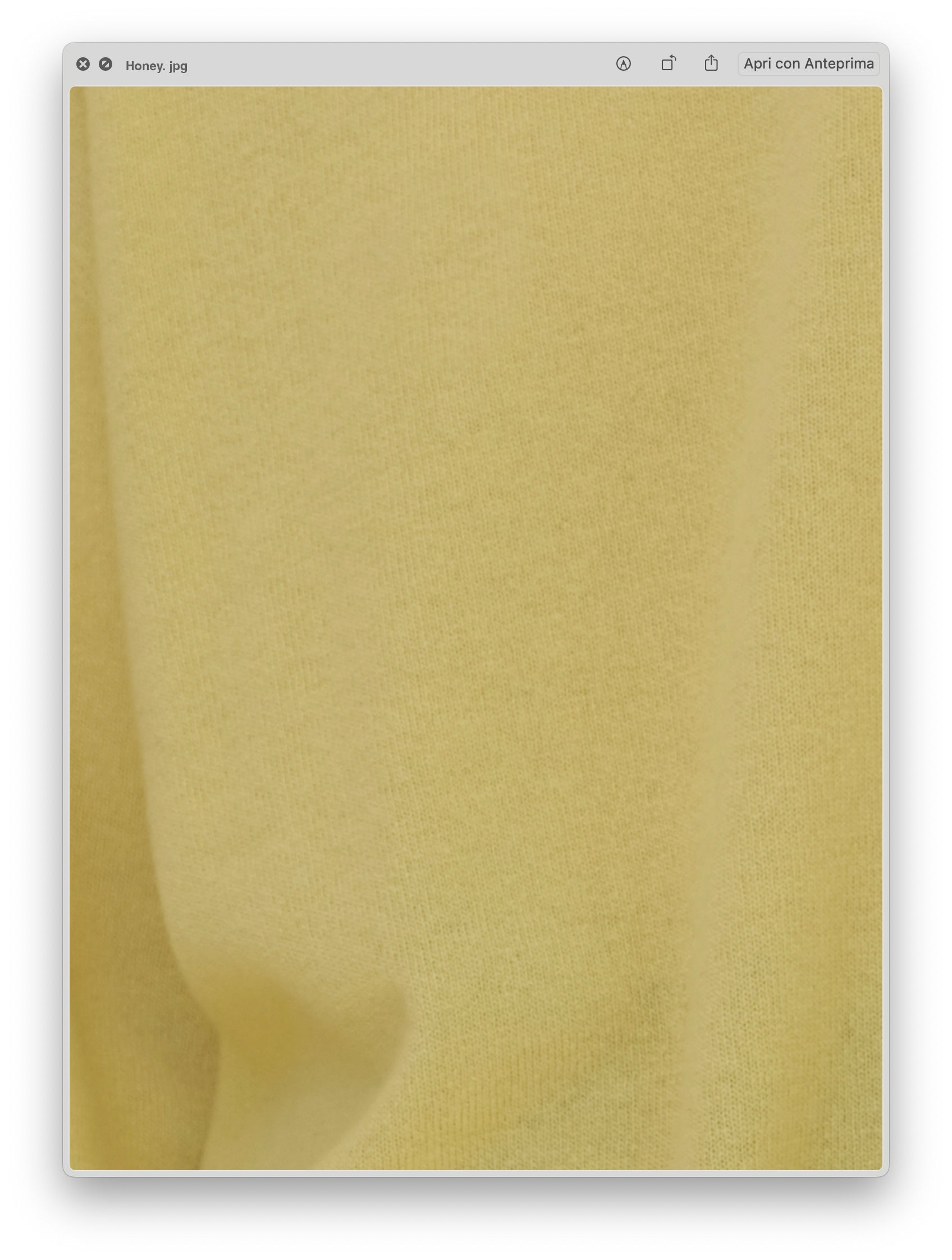 Avalyn| Knitwear Cashmere Suave